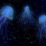 Mystical Blender Jellyfish 3d Light Deep Sea