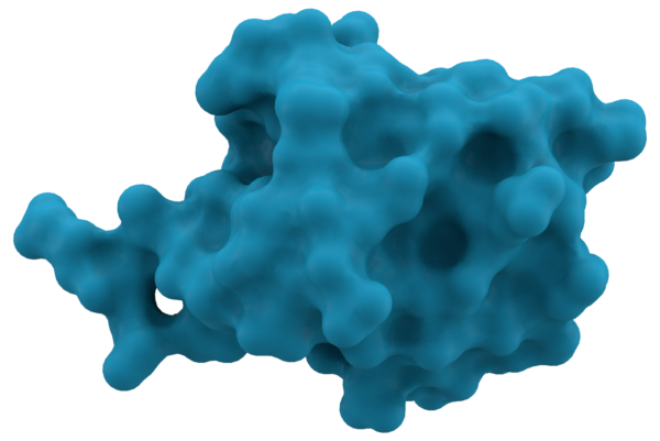 Lewy Protein™