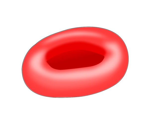 Thalassemia™